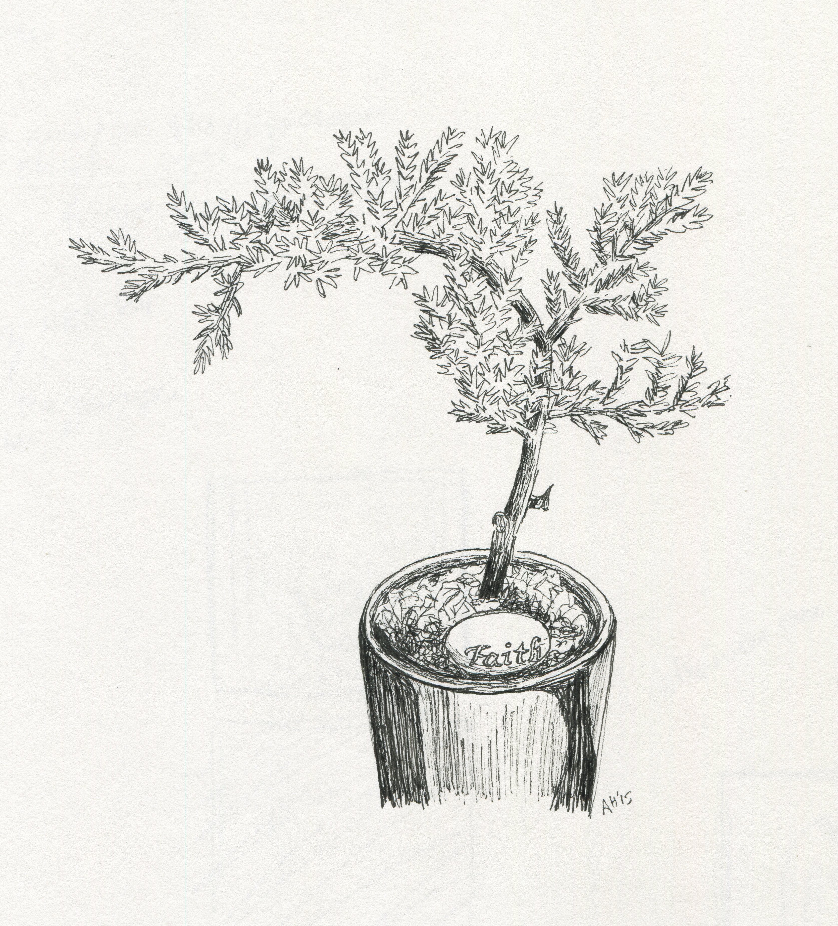 a sketch of a small bonsai tree with a pebble that reads faith by alleanna harris