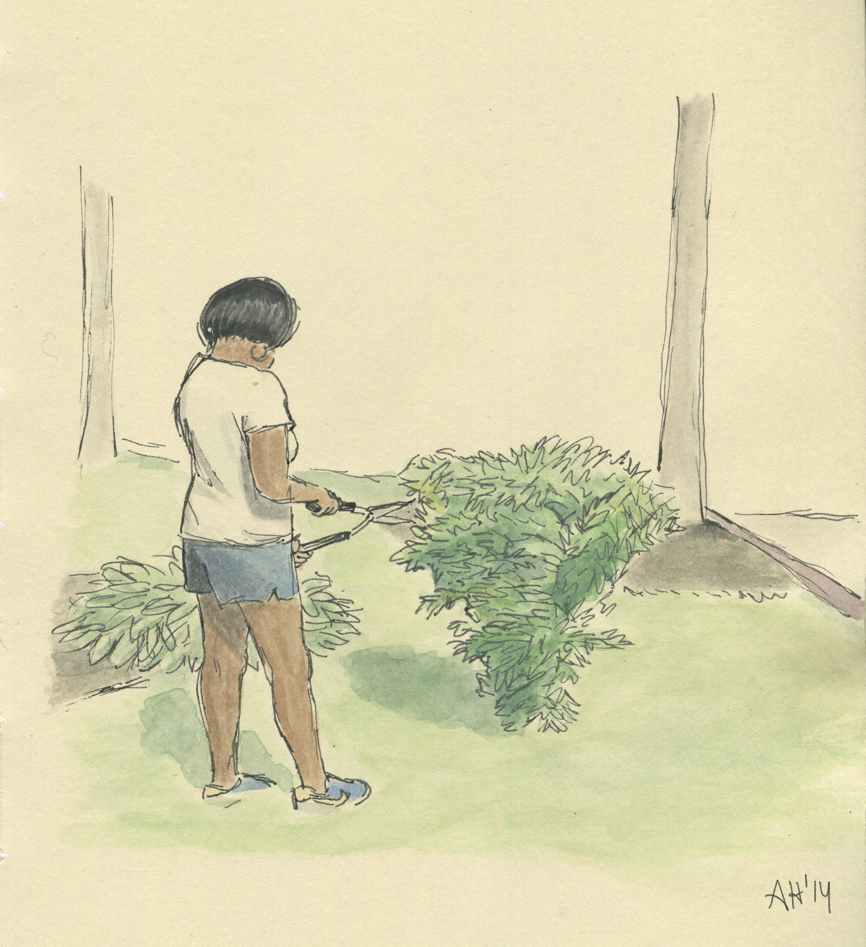 a sketch of my mom cutting a bush in the front yard