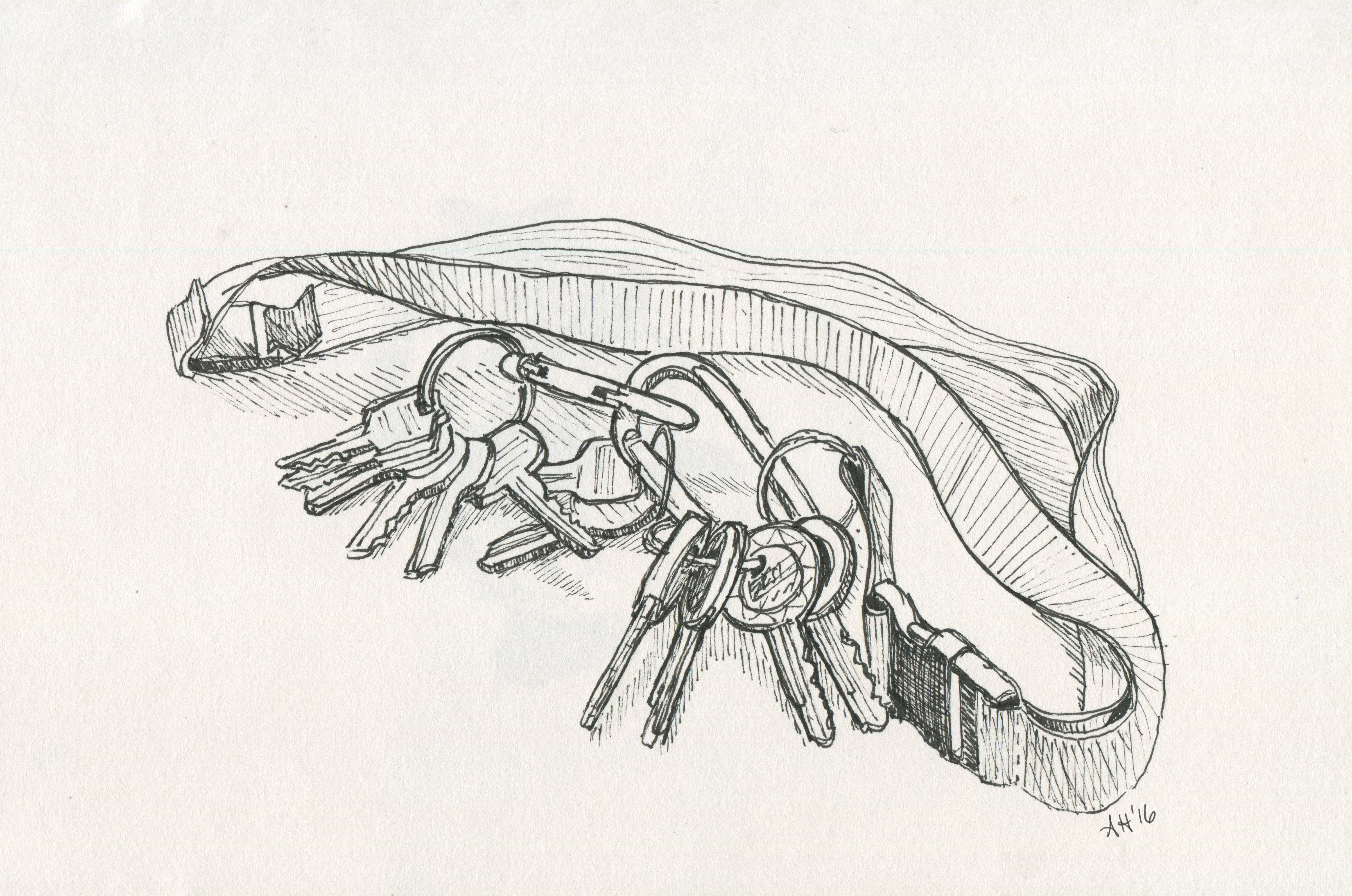a sketch by alleanna harris of a bunch of keys on a lanyard.