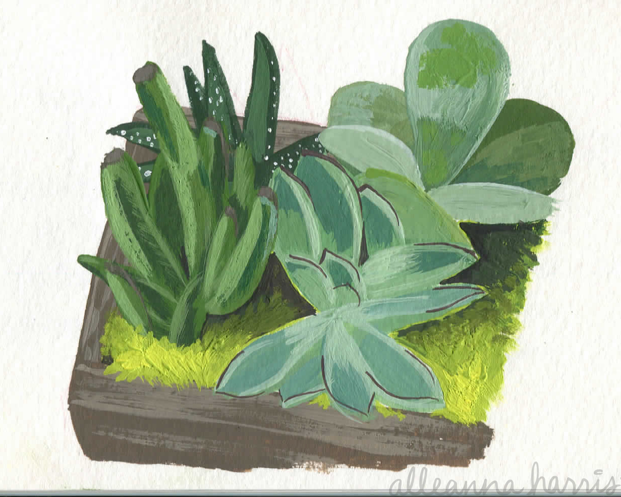 a gouache painting of succulents by alleanna harris